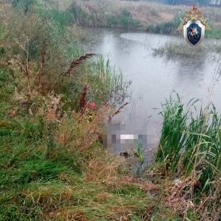 Мужчина утонул в пруду в Дивеевском районе 31 августа