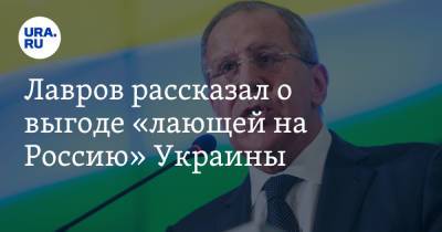 Лавров рассказал о выгоде «лающей на Россию» Украины