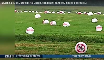 Семь жителей Минска разрисовали «протестной символикой» более 80 тюков с сеном