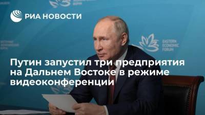 Президент Путин дал старт запуску предприятий на Дальнем Востоке в режиме видеоконференции