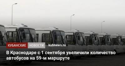 В Краснодаре с 1 сентября увеличили количество автобусов на 59-м маршруте