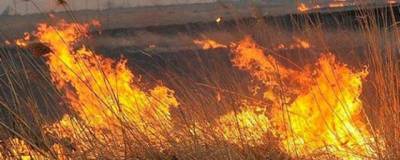 В Оренбургской области из-за пожара в степи загорелись жилые дома