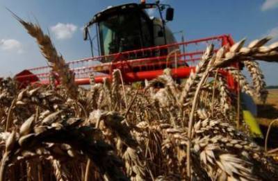 Мировые цены на продовольствие резко выросли в августе, прогноз урожая понижен - ФАО
