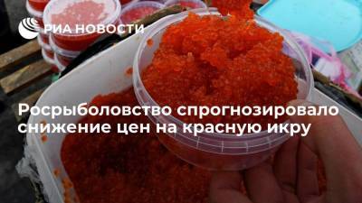Глава Росрыболовства Шестаков спрогнозировал снижение цен на красную икру и рыбу