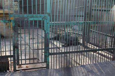 В Башкирии оштрафовали нефтяную компанию за смерть диких животных