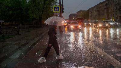 В пятницу 3 сентября в Петербурге ожидаются сильные дожди и ветер