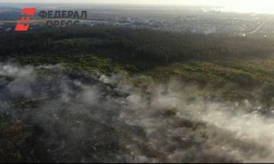 Мэр Тольятти готов заплатить 500 тысяч рублей за сведения о поджигателях леса