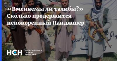 «Вменяемы ли талибы?» Сколько продержится непокоренный Панджшер - nsn.fm - Россия - Афганистан - Twitter - Талибан