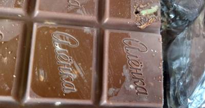 Россиян возмутили живые черви в шоколаде из московского магазина