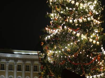 Названа цена новогодних елей для Петербурга