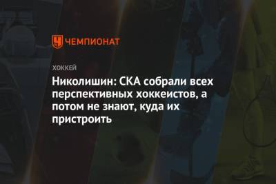 Андрей Николишин - Николишин: СКА собрал всех перспективных хоккеистов, а потом не знает, куда их пристроить - championat.com - Россия