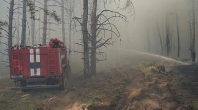 Лесной пожар в Луганской области удалось потушить