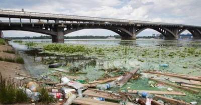 Плесень и пластик: Днепр находится на грани экологической катастрофы