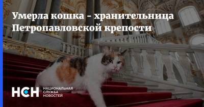 Умерла кошка - хранительница Петропавловской крепости