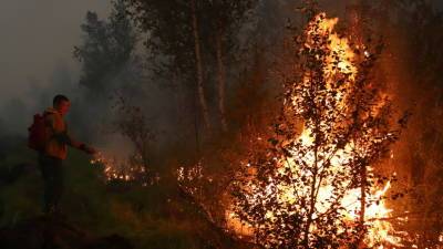 Вице-премьер Абрамченко рассказала о ситуации с лесными пожарами в России