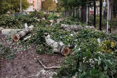 Жители улицы Зайцева пожаловались на спиленные деревья возле дома