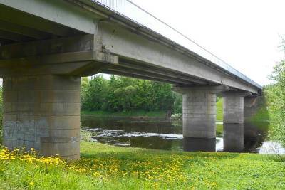 Мост через реку Шелонь капитально отремонтируют в Дновском районе