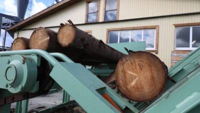 В Вологодской области начали переработку тонкомерной древесины