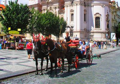 Мэр Праги поддержал идею запретить конные повозки в городе