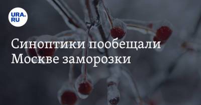 Синоптики пообещали Москве заморозки