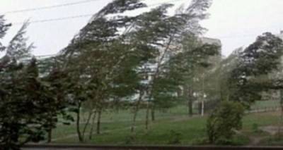 Завтра в Луганске опять сильный ветер. Возможны обрывы электропроводов, падение рекламных щитов и веток деревьев. - cxid.info - Луганск