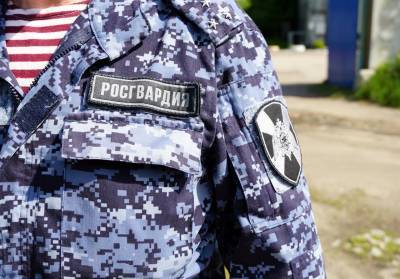 В Димитровграде сотрудники вневедомственной охраны Росгвардии задержали подозреваемую в краже