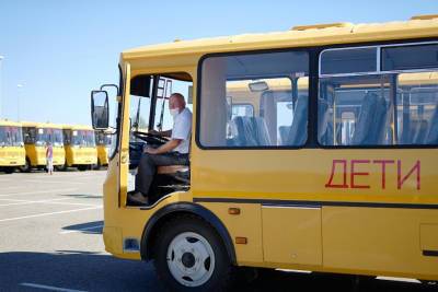 Почти 400 новых школьных автобусов вышли на дежурство в Ленобласти