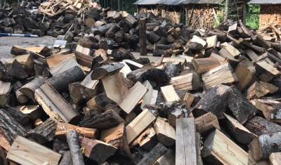Жители Подмосковья судятся с чиновниками, не замечающими вырубку леса