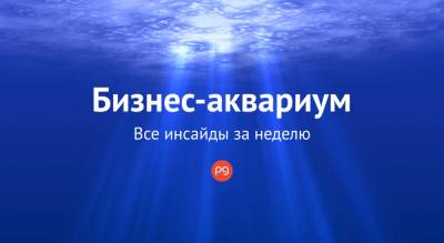 Бизнес-аквариум: что ожидается после возвращения Владимира Зеленского из США