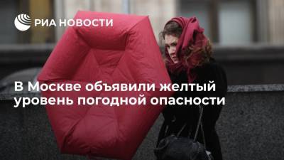 Гидрометцентр объявил желтый уровень погодной опасности в Москве и области из-за ветра