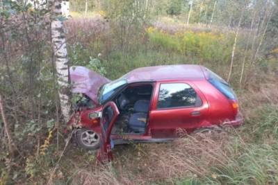 Пассажир автомобиля пострадал в ДТП в Псковском районе
