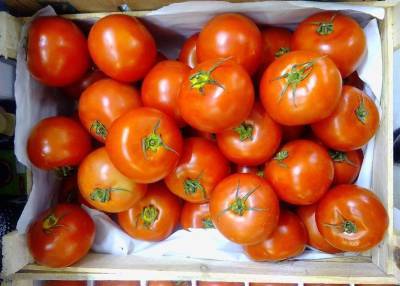 Токсиколог дал несколько советов по выбору химически необработанных помидоров