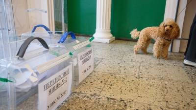 В Петербурге избирателей попросили не забывать о намордниках