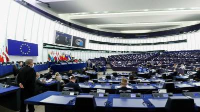 Сенатор Ковитиди призвала ЕС прекратить вмешиваться во внутренние дела РФ