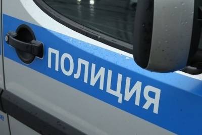 Подросток изрезал свою девушку ножом в Новой Москве