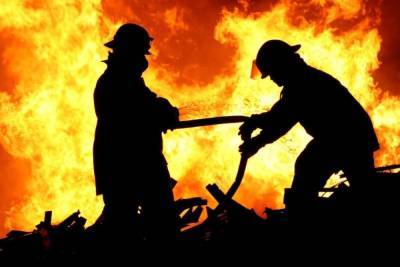 Крупный пожар в Ленобласти: один человек погиб, еще один обгорел