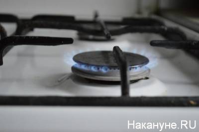 Запасов газа в России хватит больше, чем на сто лет – "Газпром"