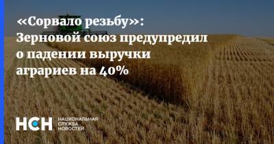«Сорвало резьбу»: Зерновой союз предупредил о падении выручки аграриев на 40%