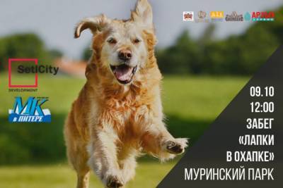 «‎МК в Питере» приглашает бегунов и любителей животных на офлайн забег «Лапки в охапке»