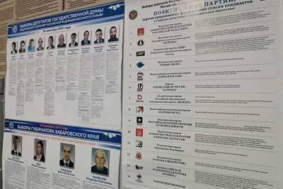 В Хабаровском крае пока не зафиксировали существенных нарушений на выборах