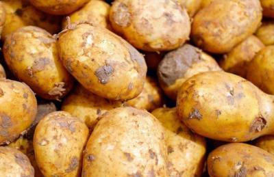Где и как в быту использовать картофельные очистки: о чем не знают хозяйки