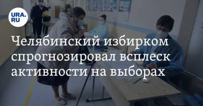 Челябинский избирком спрогнозировал всплеск активности на выборах