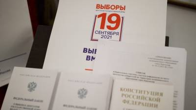 Явка избирателей на выборах в Краснодарском крае составила более 12%