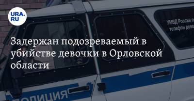 Задержан подозреваемый в убийстве девочки в Орловской области