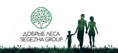 Стали известны победители грантового конкурса «Добрые леса Segezha Group» стали