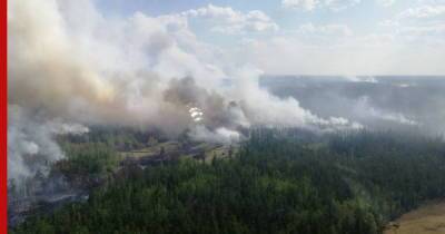 В России за сутки почти на 60 тысяч га сократилась площадь лесных пожаров