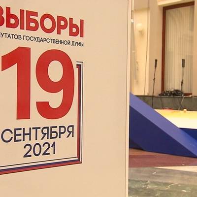 Явка на выборах в Госдуму по данным на 15 часов составила более 25,5%