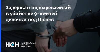 Задержан подозреваемый в убийстве 9-летней девочки под Орлом - nsn.fm - Россия - Орловская обл.