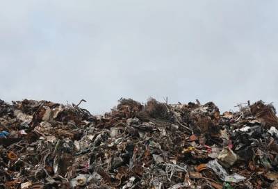 В Ленобласти за год убрали почти 100 тысяч кубометров мусора