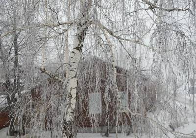 В России прогнозируется морозная зима